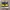 Adidas Casual Sneakers Pria black yellow photo 4