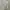 Polo Ralph Lauren Minimalist Sweater Wanita gray photo 1