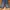 Levi's Casual Jeans Pria blue photo 2