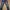 Cardinal Vintage Jeans Pria navy gray photo 1