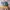 MLB Casual Hat Pria green yellow photo 1