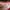 Umbro Vintage Sportswear Jersey Pria red photo 2