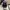 Givenchy Minimalist Casual Crossbody Bag Wanita white black photo 1