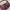 Coach Y2K Bags & purse Wanita purple pink photo 3