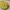 Fjällräven Casual Bags & purse Wanita yellow photo 2