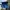 Nike Y2K Short Pria blue photo 3