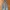 Levi's Grunge Indie Jeans Pria white navy photo 4
