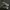 Converse Emo Indie Sneakers Pria white tan photo 3