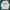 Jeep Vintage Sweater Pria white photo 5