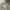 Jeep Vintage Sweater Pria white photo 3