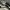 VANS Indie Casual Sneakers Pria white black photo 2