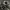 Nike Indie Casual Sneakers Pria white gray photo 4