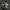 Nike Indie Casual Sneakers Pria white gray photo 3