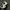 Adidas Indie Casual Sneakers Pria white black photo 6