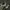 Salomon Gorpcore Indie Sneakers Pria white tan photo 5