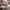 Asics Sportswear Indie Sneakers Pria white tan photo 8