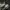Asics Sportswear Indie Sneakers Pria white tan photo 5