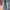 Skater Jeans Pria gray blue photo 1