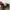 Kangol Luxury Minimalist Hat Pria tan photo 4
