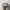 Kangol Luxury Minimalist Hat Pria tan photo 2