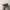Kangol Luxury Minimalist Hat Pria tan photo 3