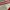 Y2K Crop top Wanita white red photo 2