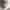VANS Streetwear Skater Hoody Pria white photo 3