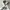 VANS Streetwear Skater Hoody Pria white photo 2