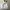 VANS Streetwear Skater Hoody Pria white photo 1