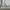 VANS Streetwear Skater Hoody Pria white photo 4