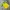 Streetwear Sportswear Jersey Pria yellow photo 3
