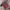 Sportswear Casual Jersey Pria green red photo 4