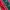 Sportswear Casual Jersey Pria green red photo 2