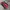 Sportswear Casual Jersey Pria green red photo 1