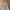 Lee Grunge Indie Jeans Pria white blue photo 5