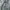 Lee Grunge Indie Jeans Pria white blue photo 6