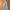 Lee Grunge Indie Jeans Pria white blue photo 7