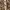 Grunge Fur coat Pria cream photo 2