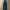 Vintage Indie Jeans Pria navy photo 6
