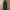 Vintage Indie Jeans Pria navy photo 2