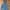 Colza Vintage Indie Jeans Pria navy blue photo 4