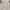 Japanese brand Fairy Coquette Blouse Wanita white cream photo 2