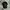 Polo Ralph Lauren Casual Hat Pria Black