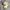 Polo Ralph Lauren Casual Hat Pria cream photo 1