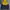 Dickies Streetwear Sportswear Windbreaker Pria navy yellow photo 1