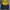 Dickies Streetwear Sportswear Windbreaker Pria Navy Yellow