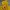 Dickies Streetwear Sportswear Windbreaker Pria navy yellow photo 2