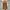 Streetwear Y2K Jeans Pria brown photo 5