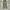 Streetwear Y2K Jeans Pria green photo 5