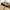 The North Face Streetwear Gorpcore Vest Pria tan black photo 2